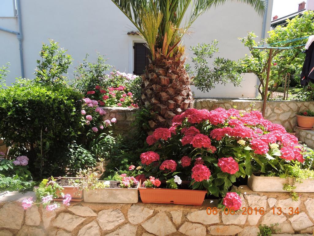 Apartments Ivanka Mali Losinj Exterior photo