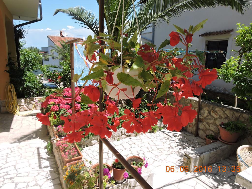 Apartments Ivanka Mali Losinj Exterior photo